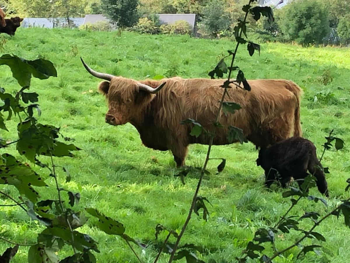 Schoene Aussicht Sauerland By Koelbel Familienurlaub Mit Hund Schmallenberg Kültér fotó